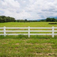 Before Looking for a Farm for Sale in Ontario, Read These FAQs